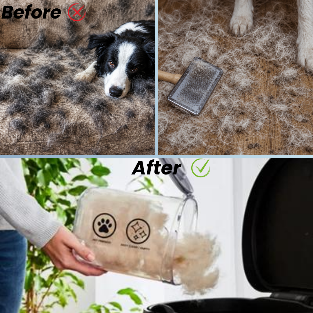 Pawsky™ 2-in-1: Brushes & Vacuums