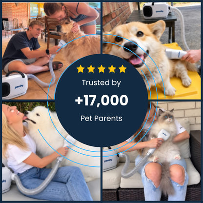 Pawsky™ 2-in-1: Brushes & Vacuums